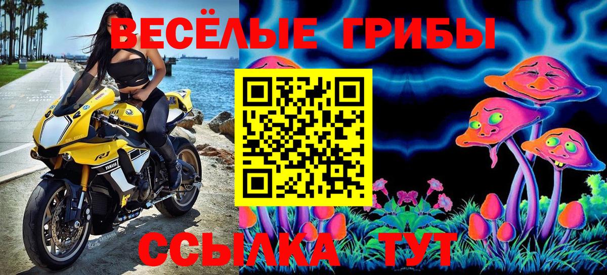 Салехард  Галлюциногенные грибы мицелий  Псилоцибиновые грибы MAGIC MUSHROOMS  Вход с VPN 