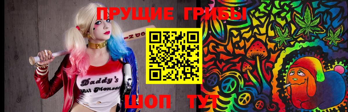 Галлюциногенные грибы прущие грибы Салехард